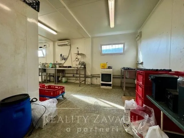 Prodej výrobních prostor, Brumovice, Hlavní, 60 m2