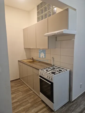 Pronájem bytu 2+kk, Plzeň, Solní, 55 m2