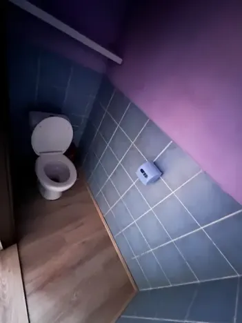 Prodej rodinného domu, Stará Paka, Sokolská, 245 m2