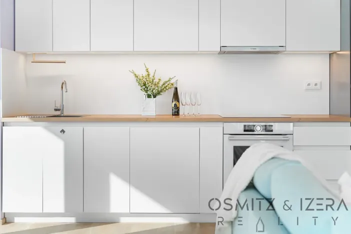 Prodej bytu 3+kk, Praha - Hodkovičky, Šenácká, 88 m2