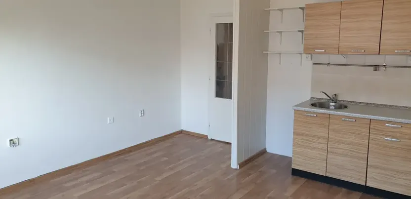 Pronájem bytu 1+1, Teplice, Javorová, 45 m2