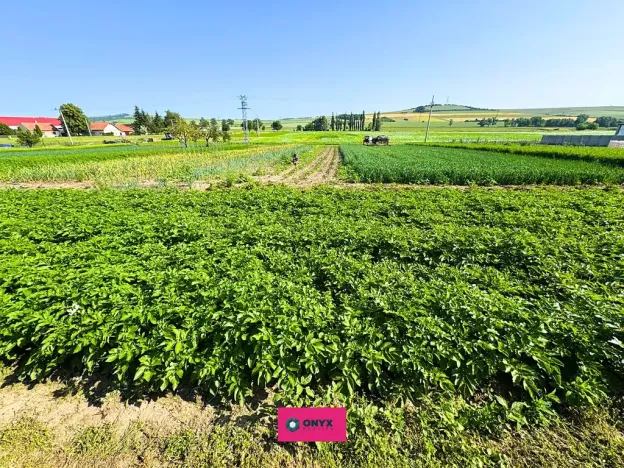 Prodej pozemku pro bydlení, Hodějice, 1062 m2