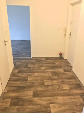 Pronájem bytu 2+1, Ostrava - Zábřeh, Patrice Lumumby, 55 m2