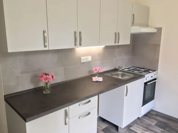 Pronájem bytu 1+1, Ostrava - Zábřeh, Svazácká, 35 m2