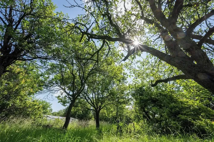Pronájem zahrady, Brno, Zelná, 3109 m2