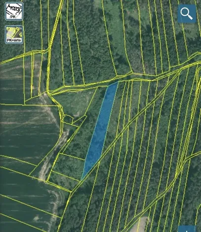 Prodej lesa, Blížejov, 12274 m2