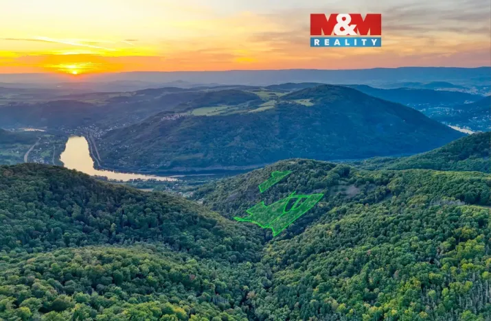 Prodej lesa, Ústí nad Labem - Severní Terasa, 23067 m2