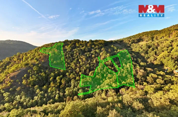 Prodej lesa, Ústí nad Labem - Severní Terasa, 23067 m2