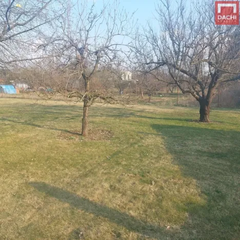 Prodej zahrady, Olomouc, Lidická, 1080 m2