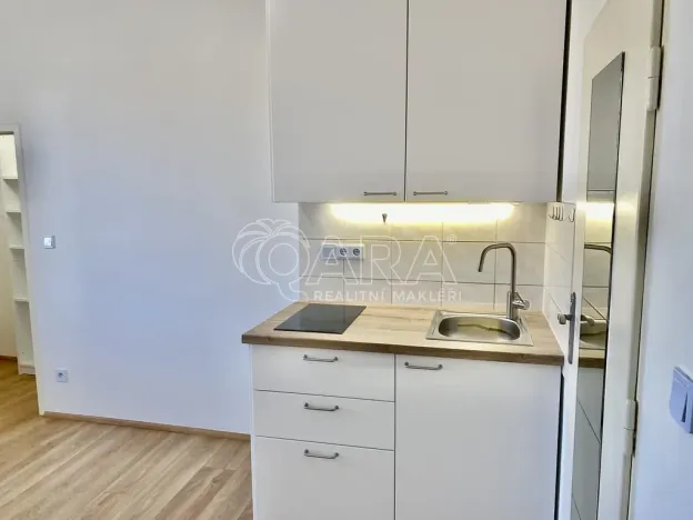 Pronájem bytu 1+kk, Praha - Nusle, V Horkách, 17 m2