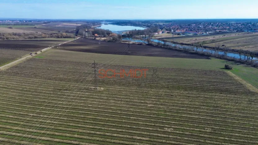 Prodej sadu/vinice, Sedlec, 11641 m2