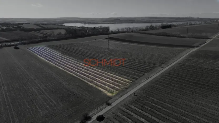 Prodej sadu/vinice, Sedlec, 11641 m2