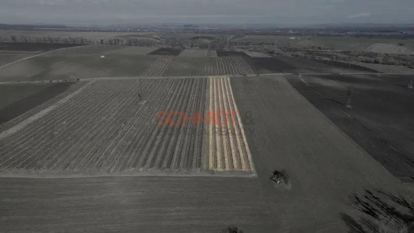 Prodej sadu/vinice, Sedlec, 11641 m2