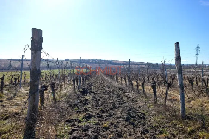 Prodej sadu/vinice, Sedlec, 11641 m2