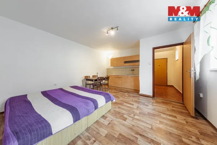 Prodej bytu 1+kk, Kynšperk nad Ohří, Zámecká, 34 m2