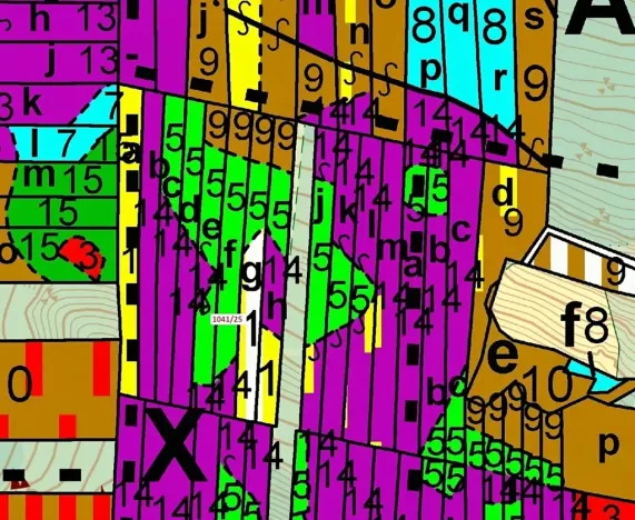 Dražba lesa, Prachatice, 2082 m2