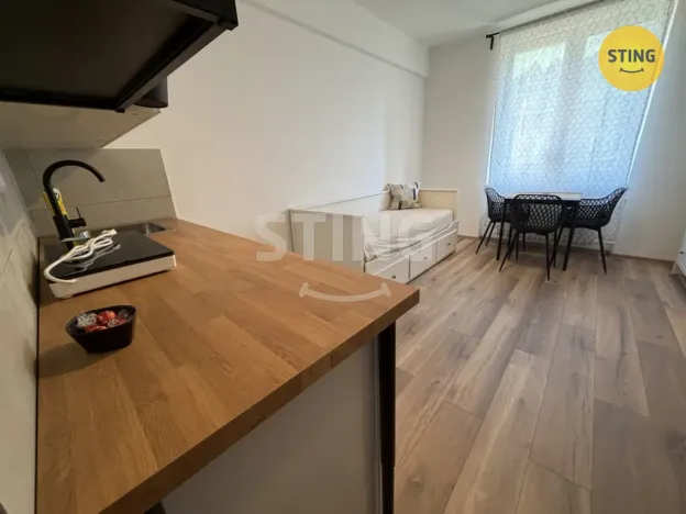 Pronájem bytu 1+kk, Ostrava, Nádražní, 19 m2