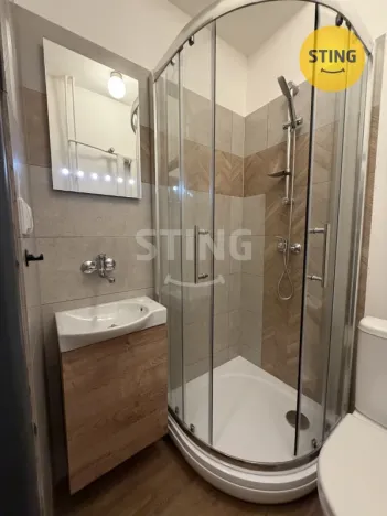 Pronájem bytu 1+kk, Ostrava, Nádražní, 19 m2