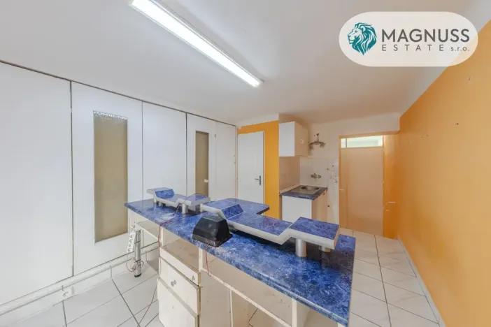 Prodej vícegeneračního domu, Přerov, Boženy Němcové, 208 m2