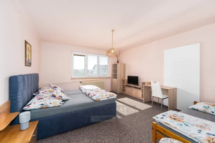 Prodej rodinného domu, Čejkovice, 218 m2