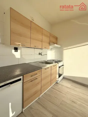 Pronájem bytu 3+1, Most, K. H. Borovského, 61 m2