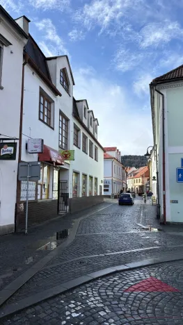 Prodej obchodního prostoru, Sušice - Sušice I, náměstí Svobody, 385 m2