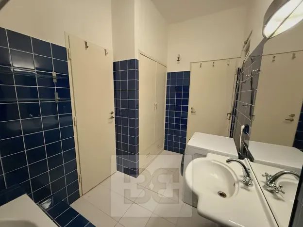 Pronájem bytu 4+kk, Praha - Vinohrady, Londýnská, 96 m2