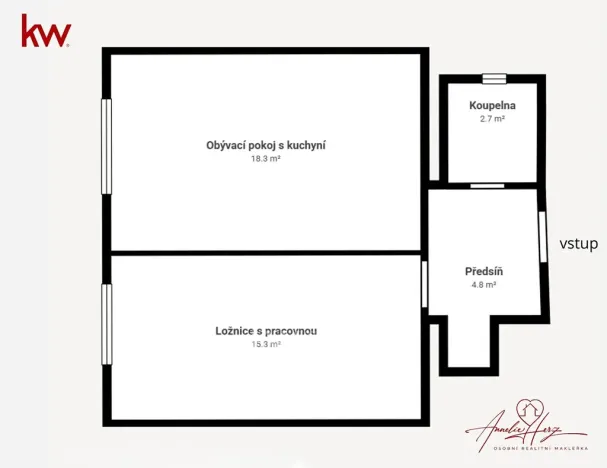 Pronájem bytu 2+kk, Praha - Žižkov, Žerotínova, 45 m2