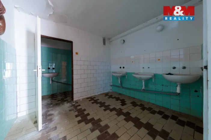 Prodej obchodního prostoru, Abertamy, Bož. Němcové, 800 m2