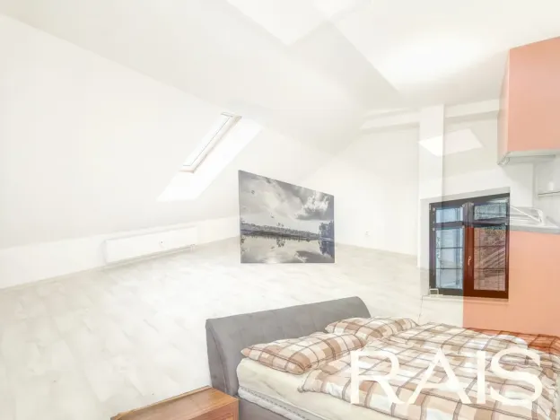 Prodej vícegeneračního domu, Hodonín, Muchova, 235 m2