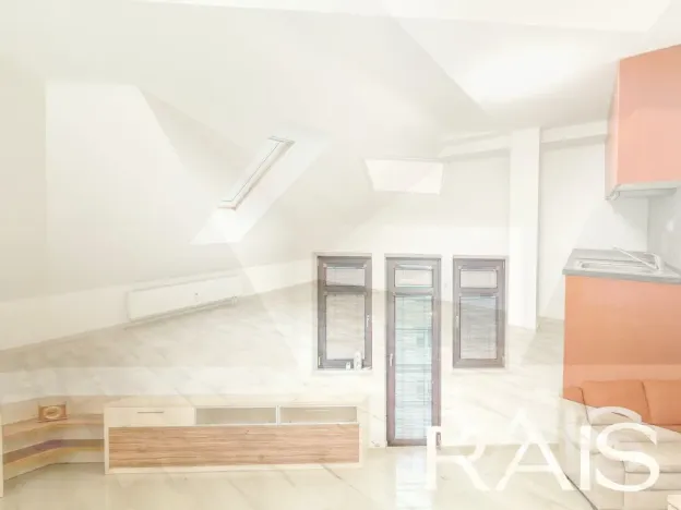 Prodej vícegeneračního domu, Hodonín, Muchova, 235 m2