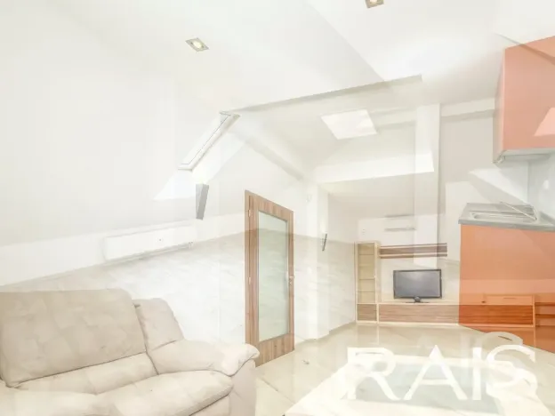 Prodej vícegeneračního domu, Hodonín, Muchova, 235 m2