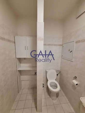 Pronájem bytu 1+kk, Prostějov, Krasická, 46 m2