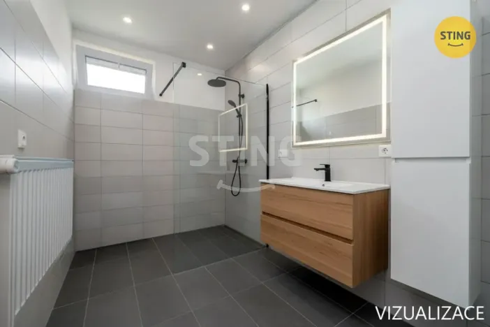 Prodej rodinného domu, Dolní Lhota, K nádraží, 220 m2