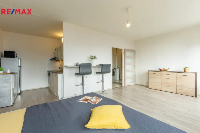 Prodej bytu 1+kk, Litvínov - Hamr, Přátelství, 33 m2