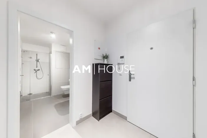 Pronájem bytu 1+kk, Praha - Karlín, Sokolovská, 40 m2