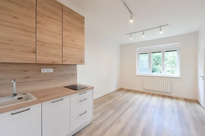 Pronájem bytu 1+kk, Praha - Michle, Hanusova, 28 m2