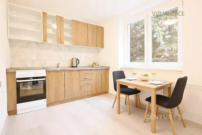 Pronájem bytu 2+kk, Litvínov, Horská, 42 m2