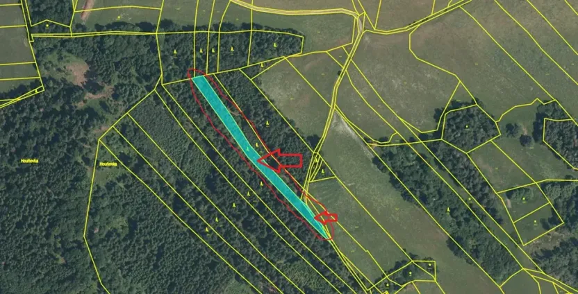 Prodej lesa, Dolany, 3023 m2