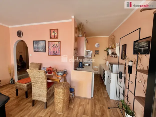 Pronájem bytu 2+kk, Ústí nad Labem, Žežická, 45 m2