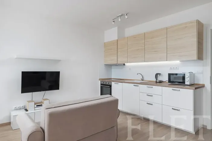 Pronájem bytu 1+kk, Praha - Žižkov, Olgy Havlové, 40 m2