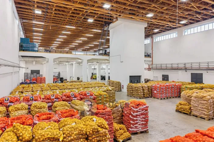 Prodej výrobních prostor, Kostelec nad Labem, Neratovická, 3457 m2