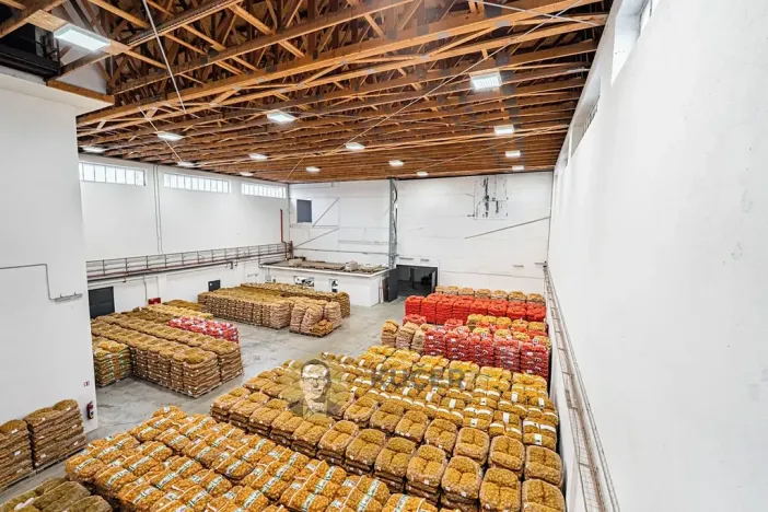 Prodej výrobních prostor, Kostelec nad Labem, Neratovická, 3457 m2