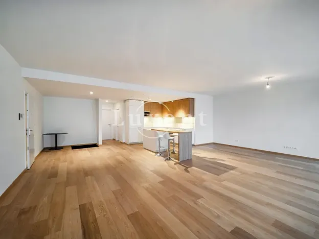 Pronájem bytu 4+kk, Praha - Smíchov, Holečkova, 178 m2