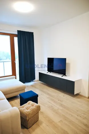 Pronájem bytu 2+kk, České Budějovice, U Lučního jezu, 61 m2