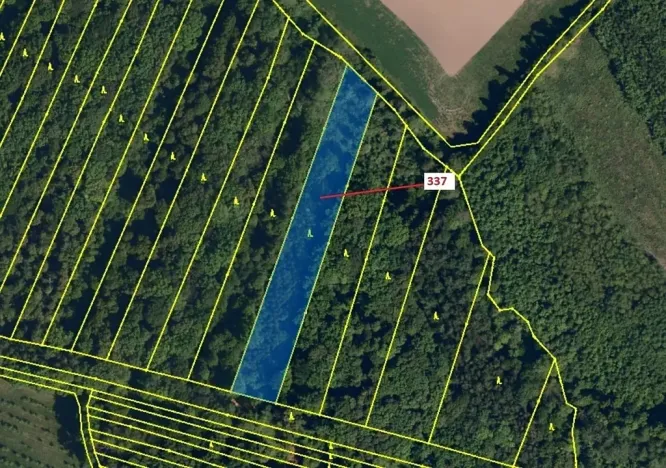 Dražba lesa, Hradčany-Kobeřice, 5963 m2