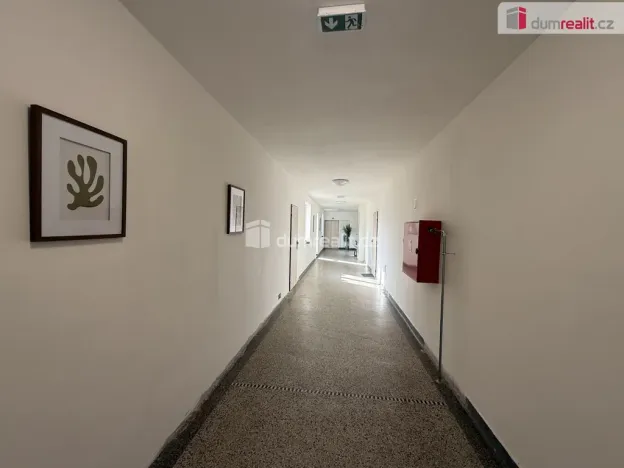 Pronájem bytu 2+1, Ústí nad Labem - Střekov, Purkyňova, 52 m2