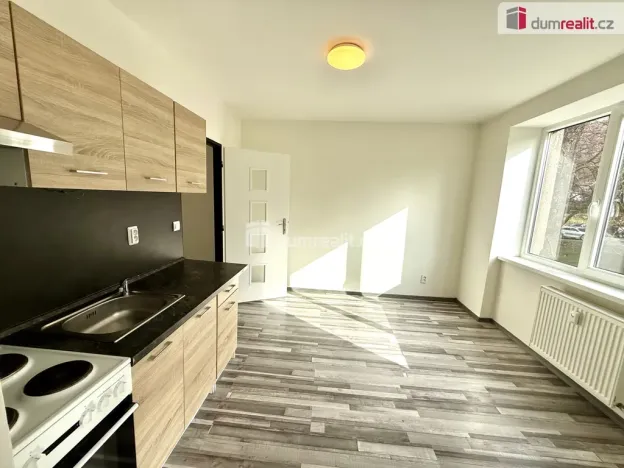 Pronájem bytu 2+kk, Ústí nad Labem, Purkyňova, 38 m2