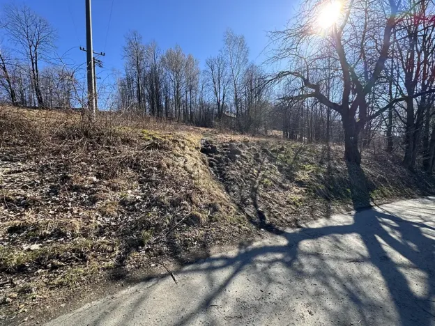 Prodej pozemku pro bydlení, Zlaté Hory, U Sv. Rocha, 5589 m2