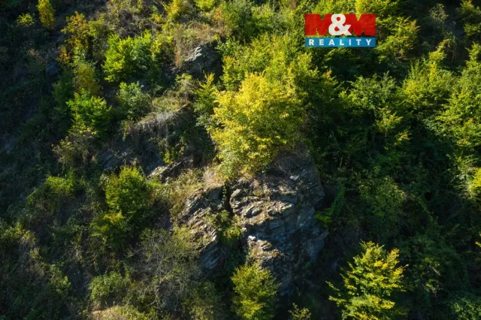 Prodej lesa, Lomnice, 7450 m2